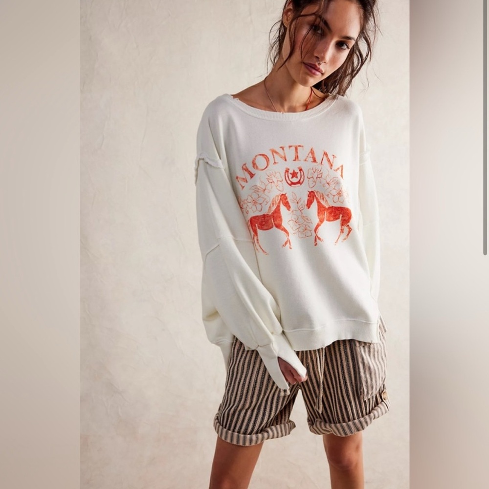 We The Free Graphic Camden Pullover